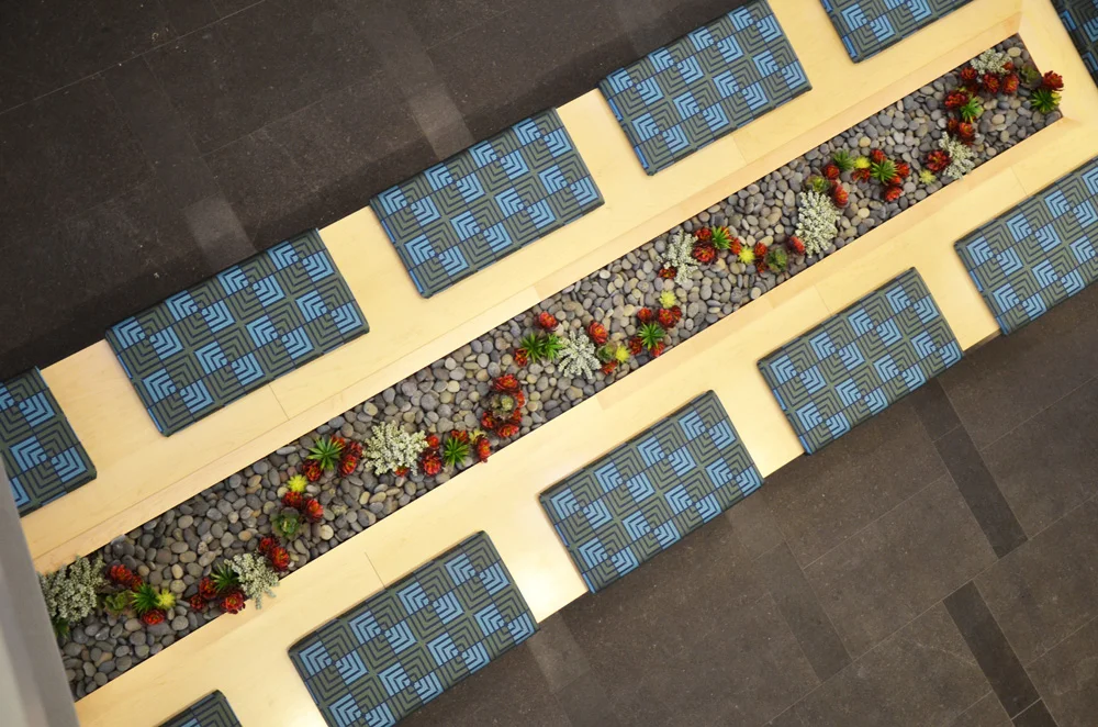 Harding Botanicals Boston Interior Plants