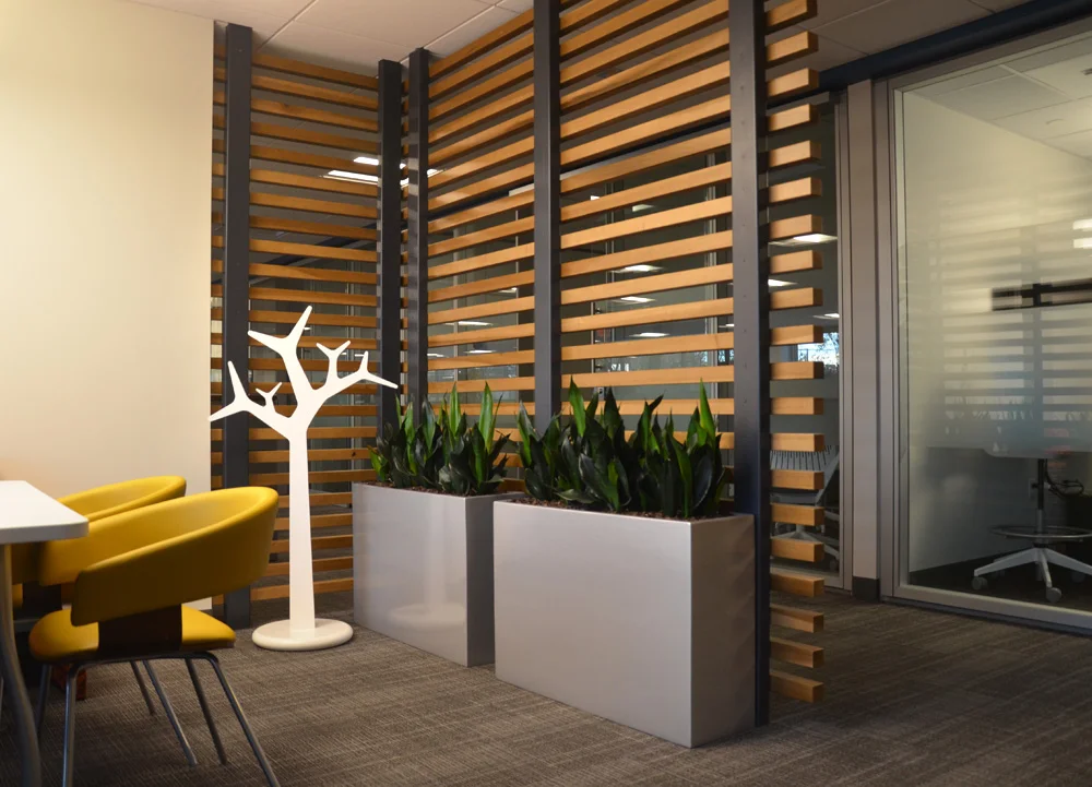 Harding Botanicals. Boston Interior Plants