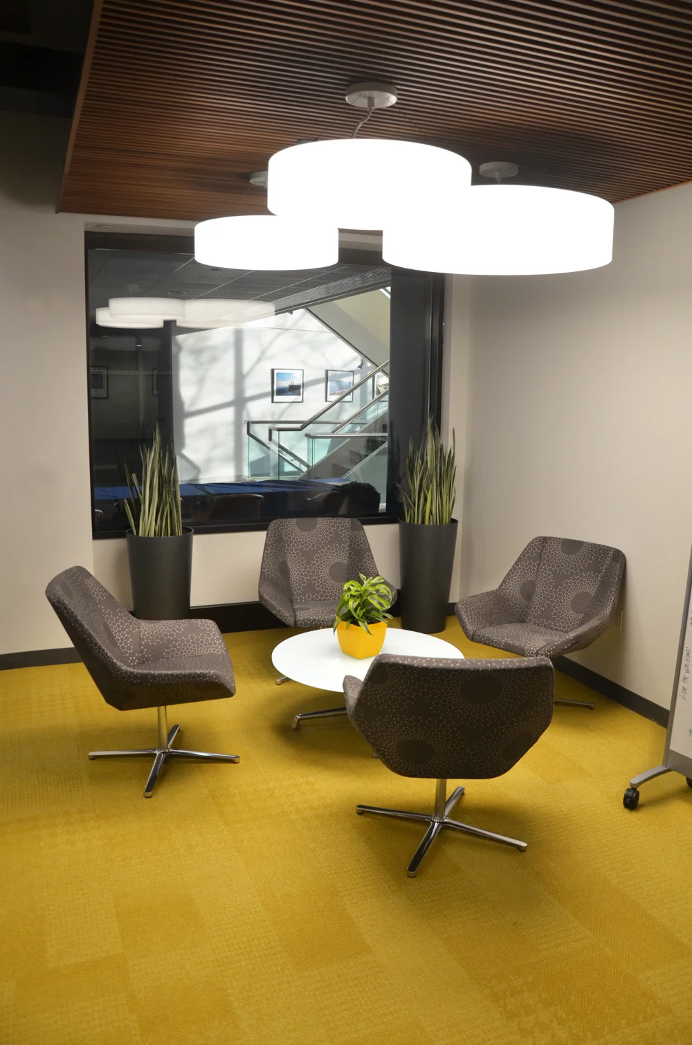 Harding Botanicals. Boston interior plants