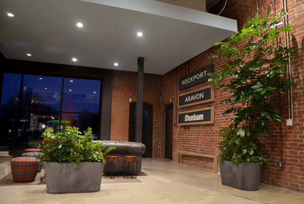 Harding Botanicals Boston Interior Plants