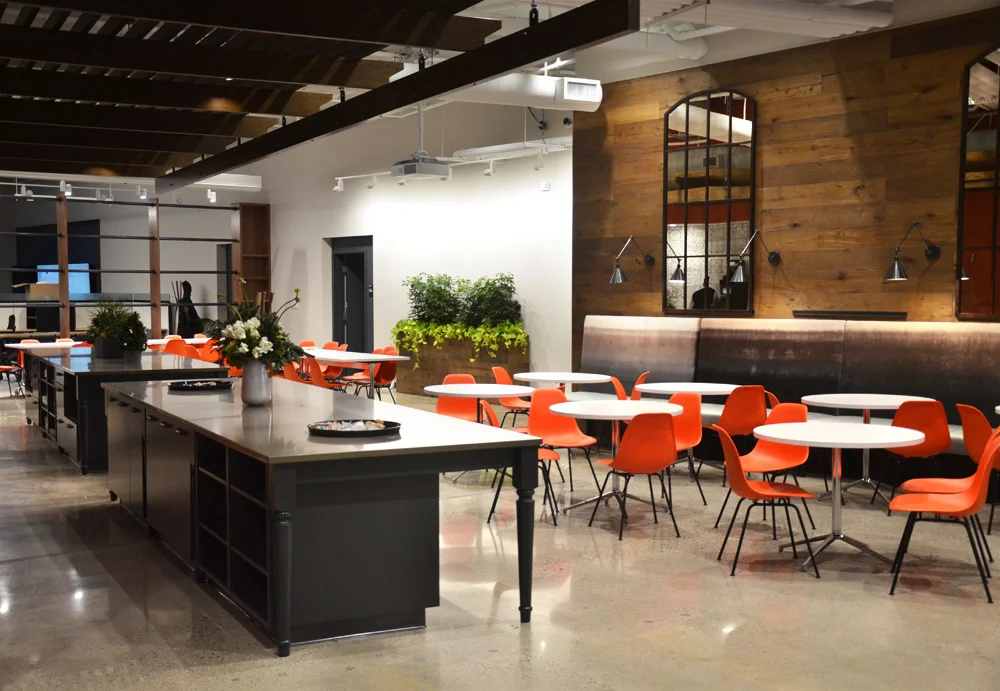 Harding Botanicals Boston Interior Plants