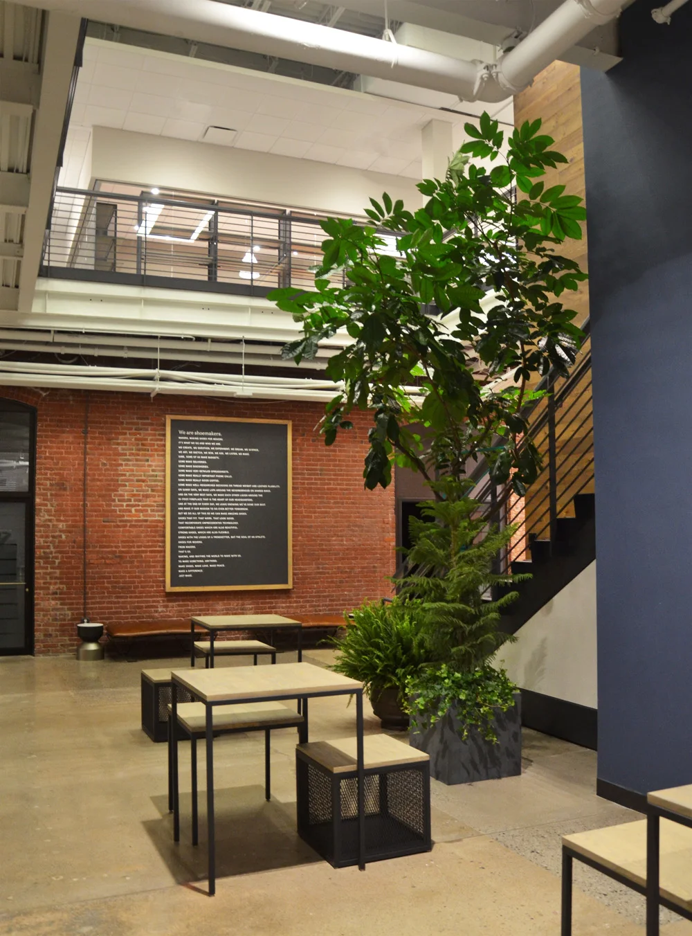 Harding Botanicals Boston Interior Plants