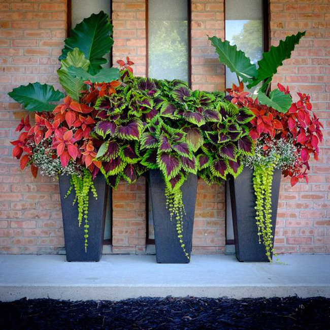 Winter Outdoor Floral Container by Blumen Haus Boston