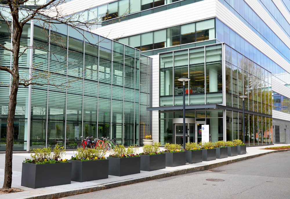 Harding Botanicals_Spring Exterior 2.jpg