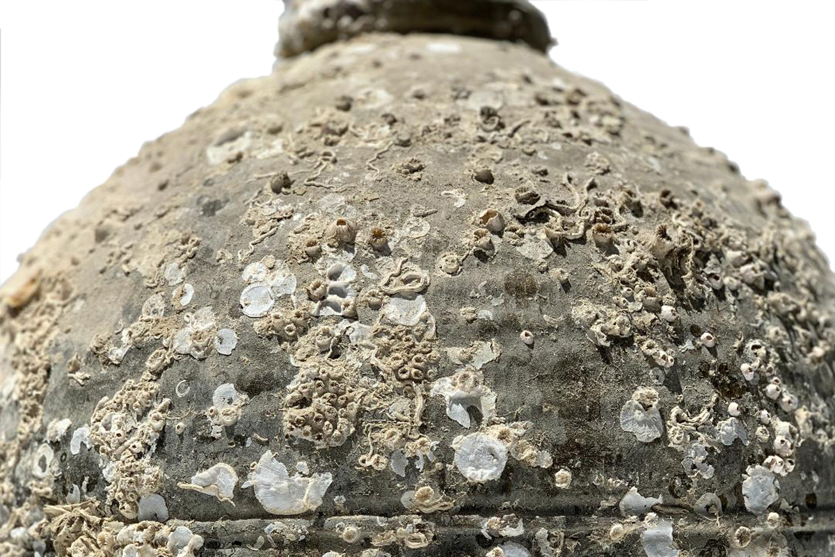 Trade_Secrets_Home_Large_Antique_Storage_Jars_with_Marine_Adhesions_02.jpg