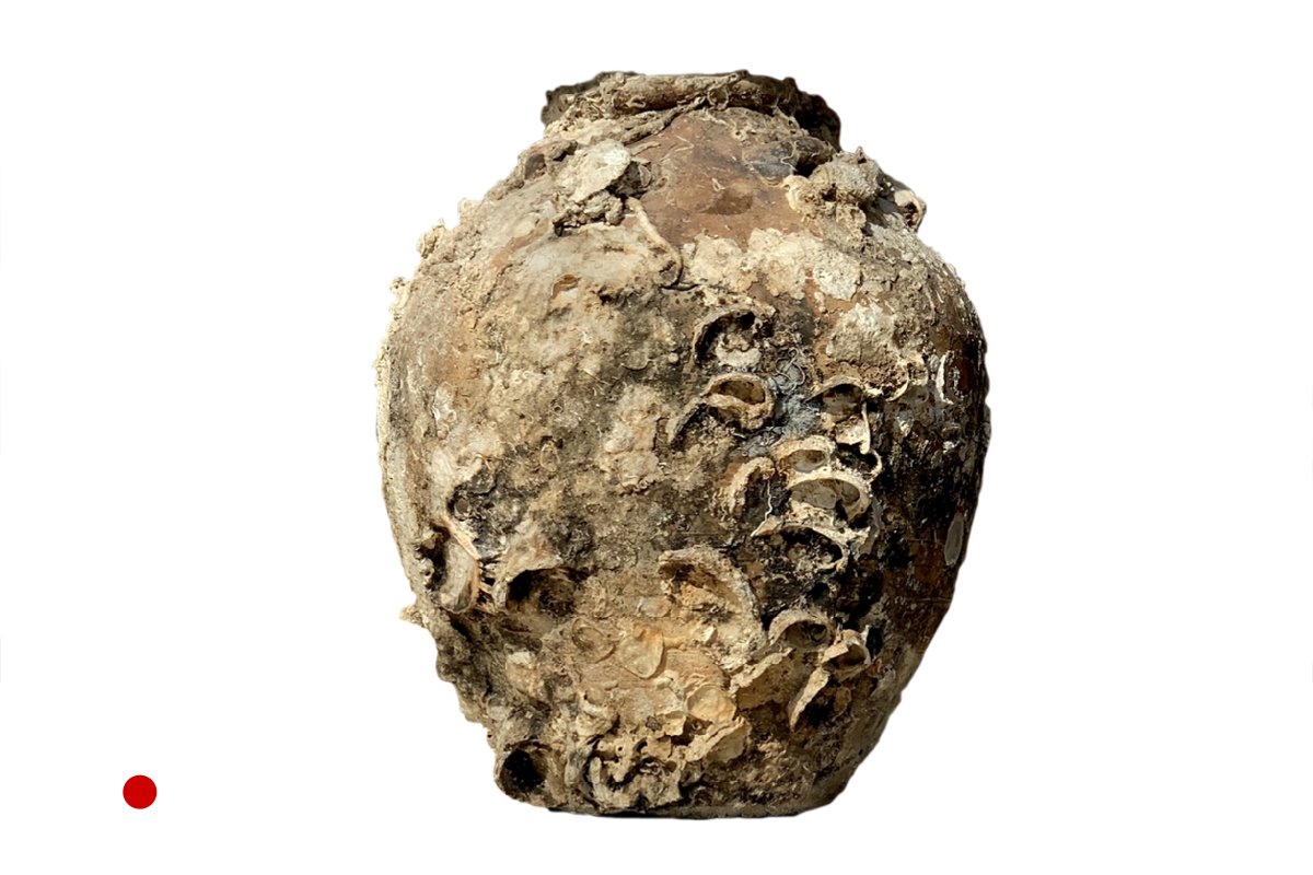 ANTIQUE STORAGE JAR WITH MARINE ADHESIONS