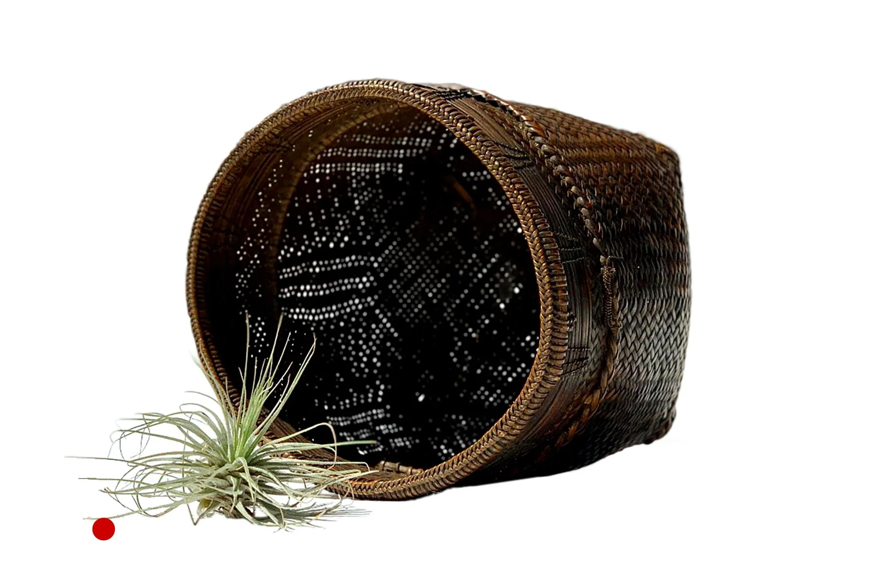Trade_Secrets_Home_Finely_Woven_Medium_Collecting_Basket_01_SOLD.jpg