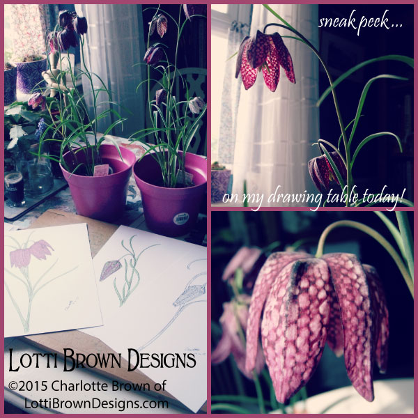 Feeling inspired by these gorgeous patterned petals - fritillaries