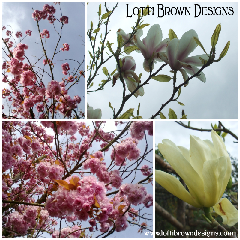 My own photos of magnolias and cherry blossom are invaluable as inspiration