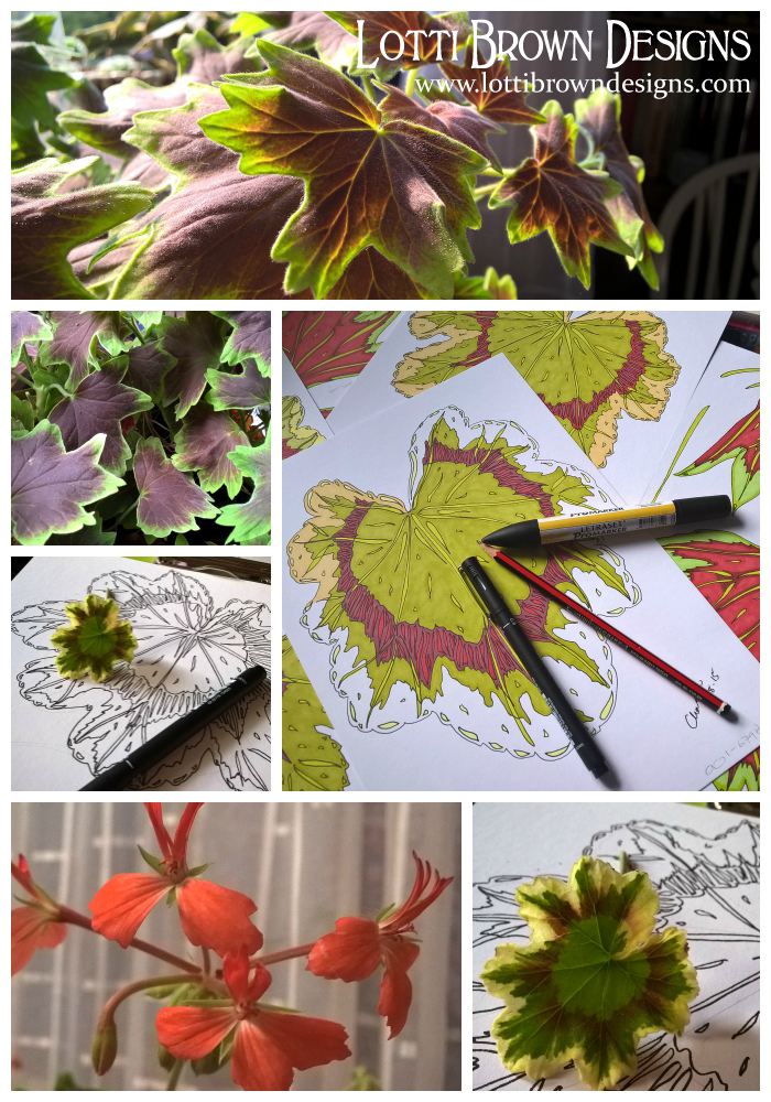 Some of my geranium leaf drawings, the ones that ended up in this design are the bright red ones, seen slightly beneath the pile of drawings in the large image.