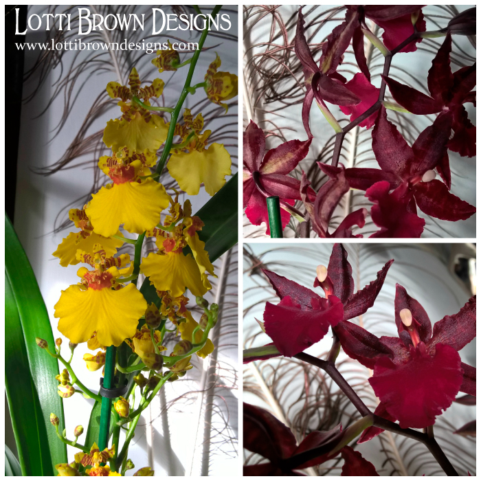 Gorgeous orchids were one of the main inspirations to this collection