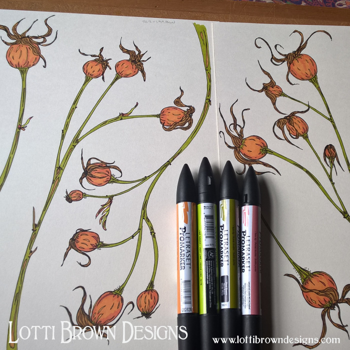 Drawing rosehips for the artwork