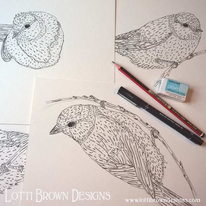 Bluetits, drawings in progress...