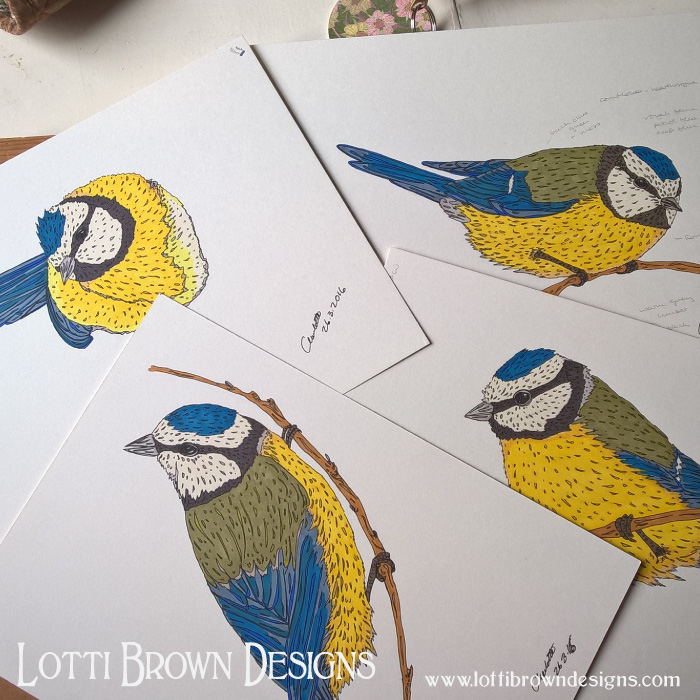 Bluetits drawings, coloured with ink