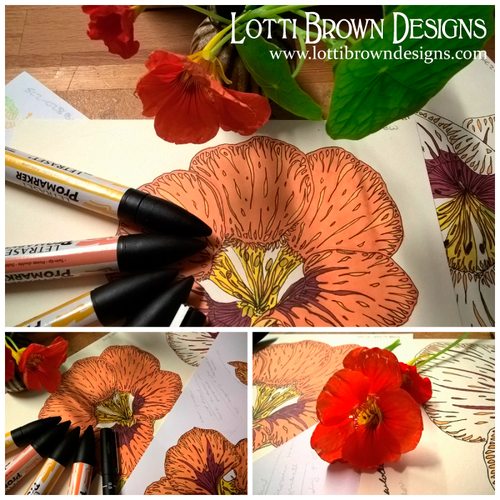Nasturtiums