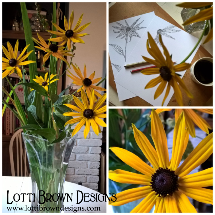 Black-eyed Susan