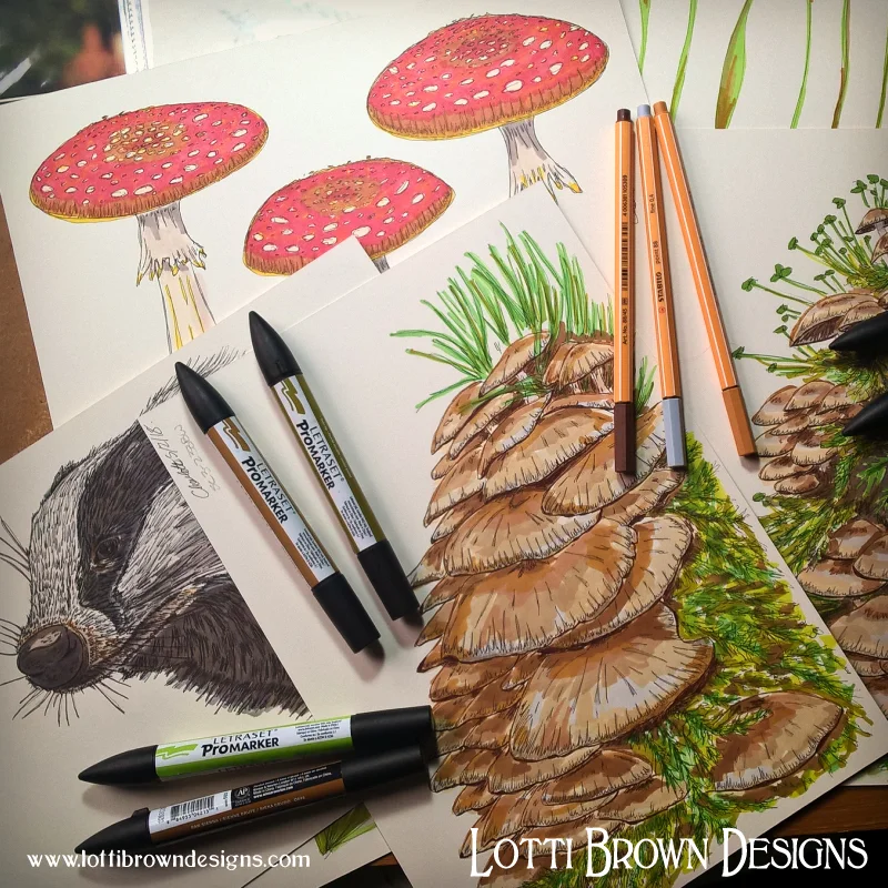 badger_toadstool_drawings_wip.jpg