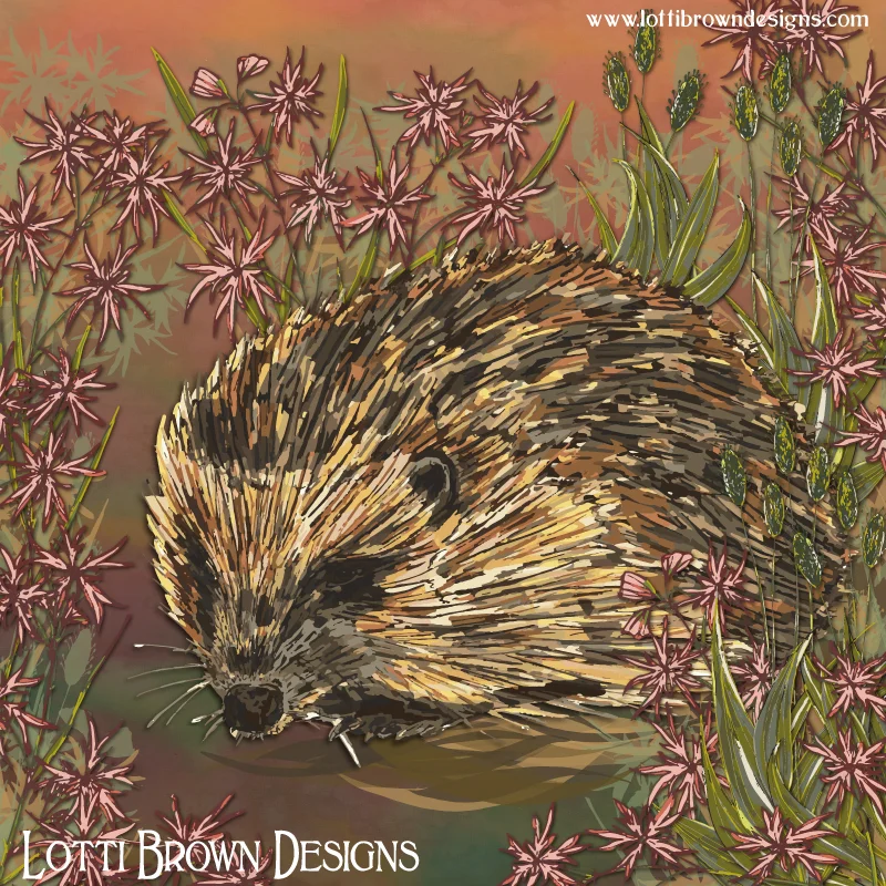 'Ragged-Robin Hedgehog' art by Lotti Brown