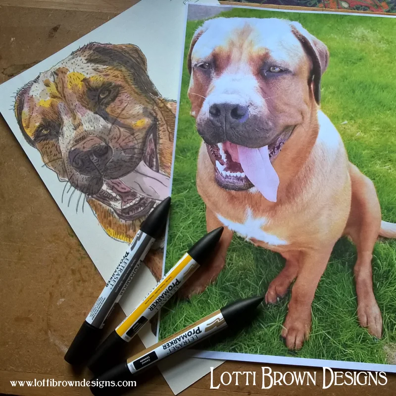 And I use my drawings to create your final pet portrait