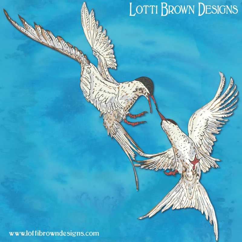 Arctic terns artwork by Lotti Brown