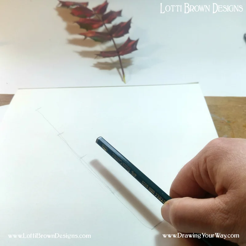 marking-out-overall-size-on-drawing.jpg