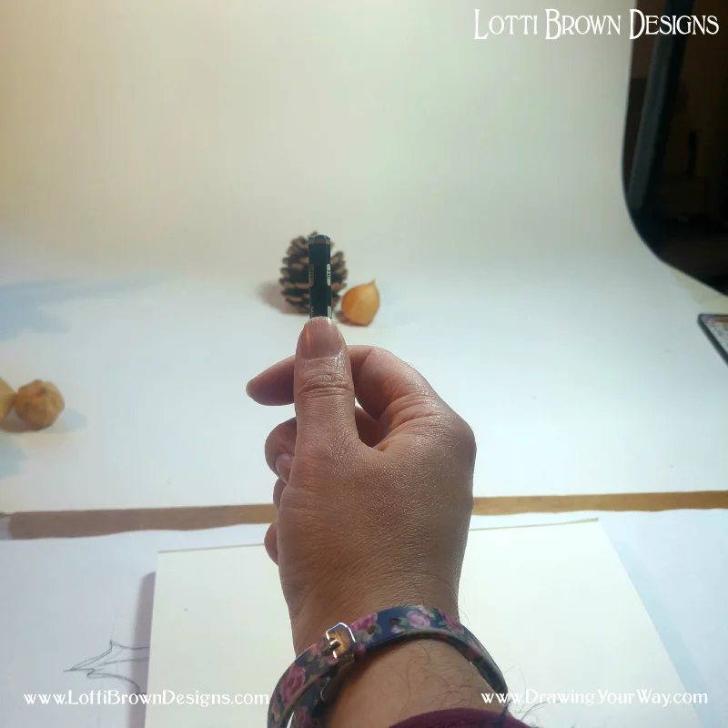 Then I check the height of the pinecone in the same way - and discover that the height and the width are roughly the same