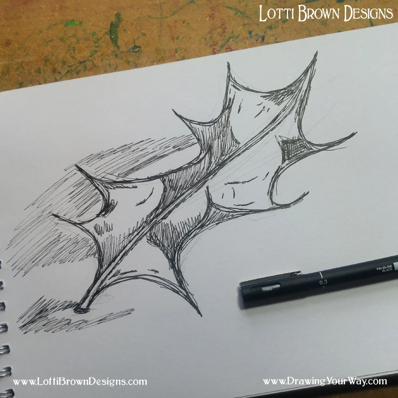Holly leaf drawing with a black pen using line to show light and shade