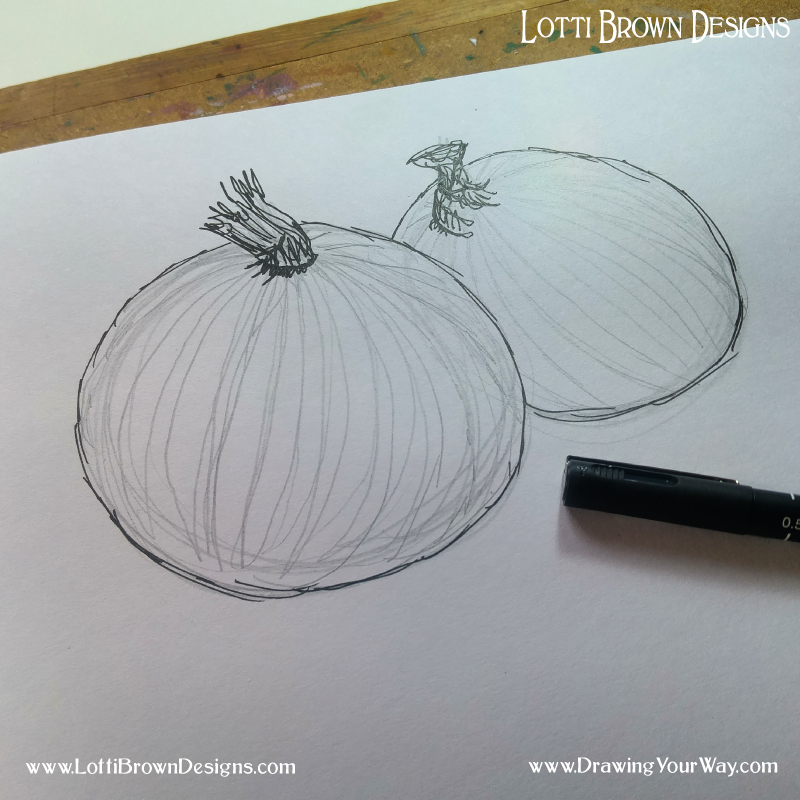 After inking in the main outline with my drawing pen, I add pencilled contour lines following the stripes on the onions skin to help show the rounded form of the onions