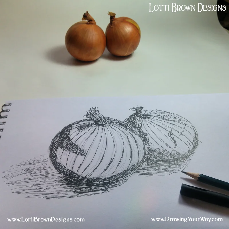I add in areas of shadow trying to make the direction of my marks follow the rounded shape of the onion
