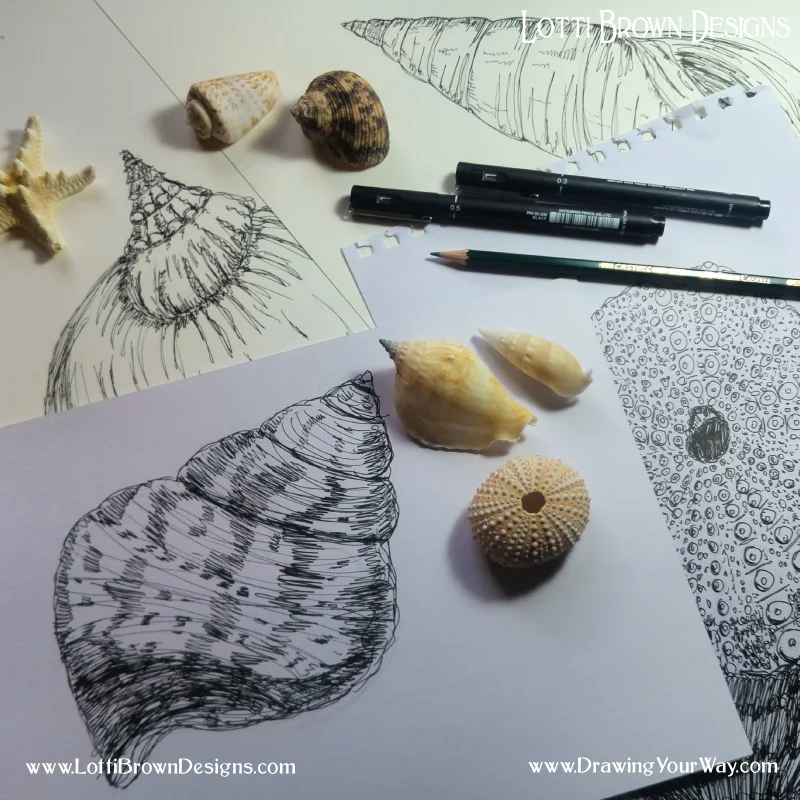 Some of my own shell drawings - trying out different ways of making marks to show texture, detail, shape and form.