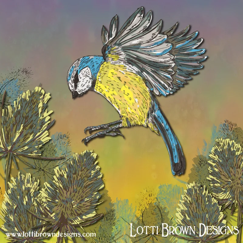 ‘Blue Tit and Teasel’ art by Lotti Brown