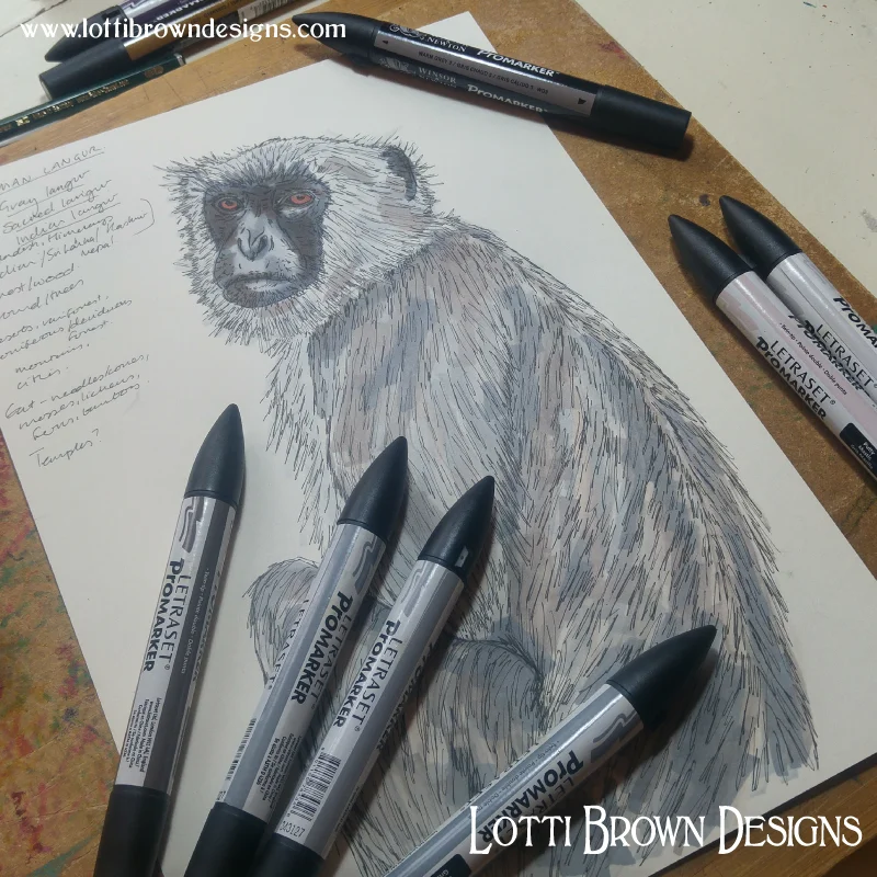 Gray langur drawing with Promarkers - work in progress