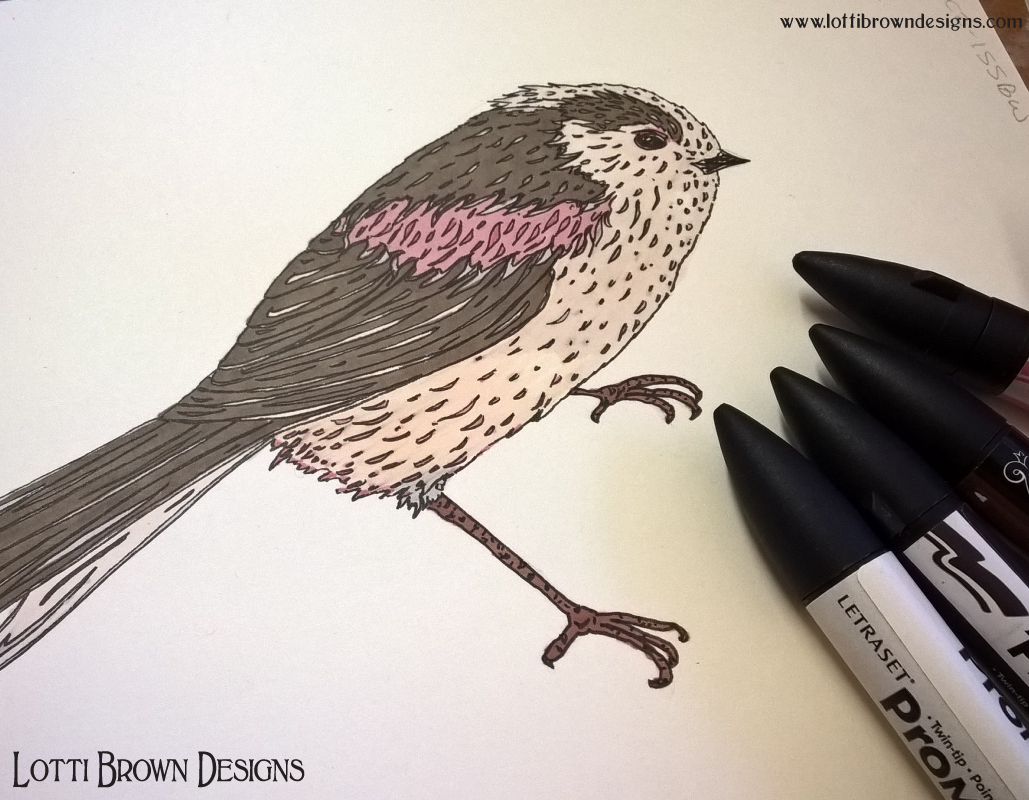 One of my long-tailed tits drawings created with black fineliner drawing pen and promarkers