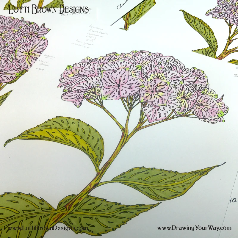Putting a personal spin on a floral drawing. Pink hydrangeas in black drawing pen and Promarker markers.
