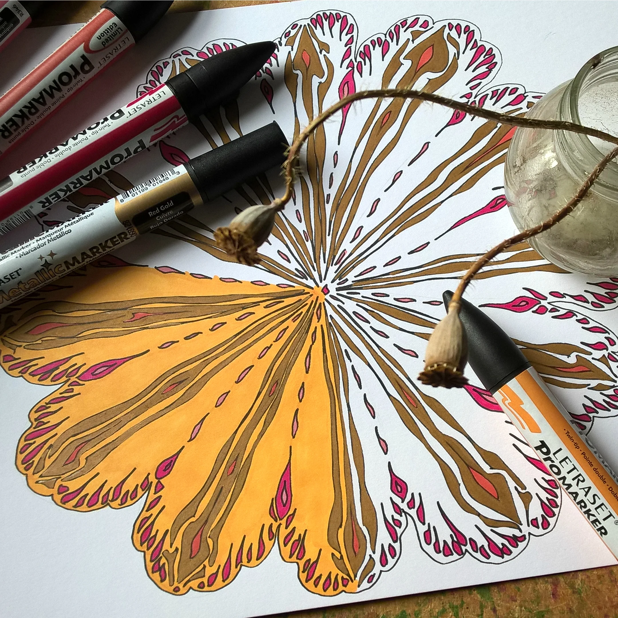 Getting colourful and expressive with a close-up drawing of poppy seedheads