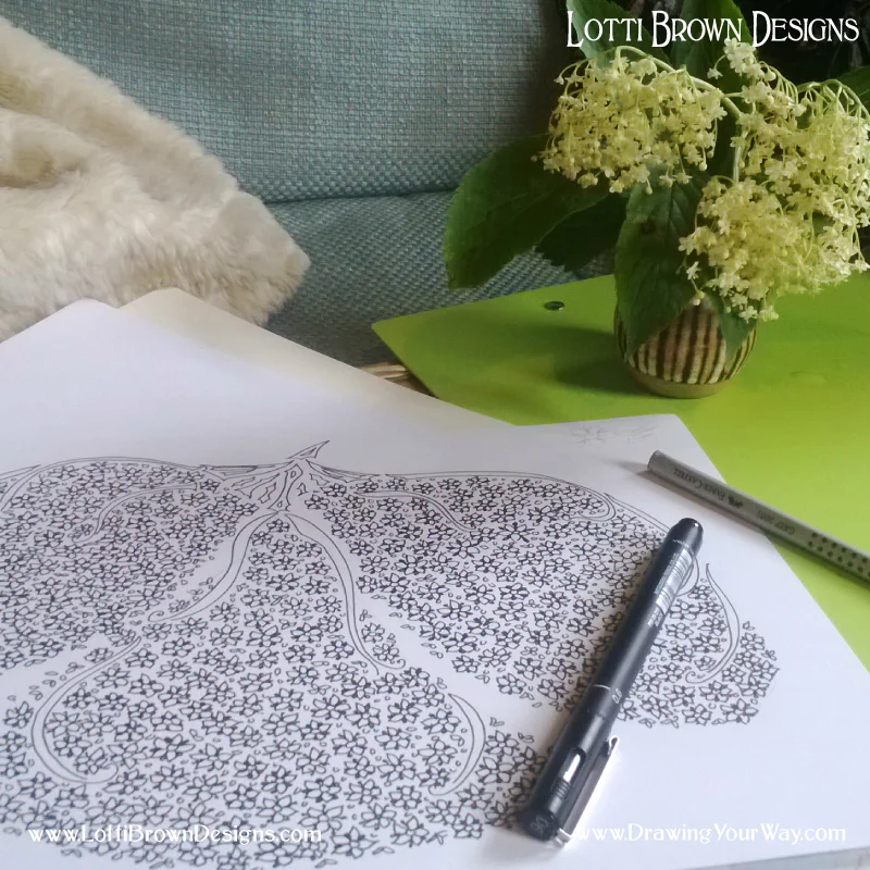 Drawing elderflowers from life - taking time to really look and feel connected to the subject matter