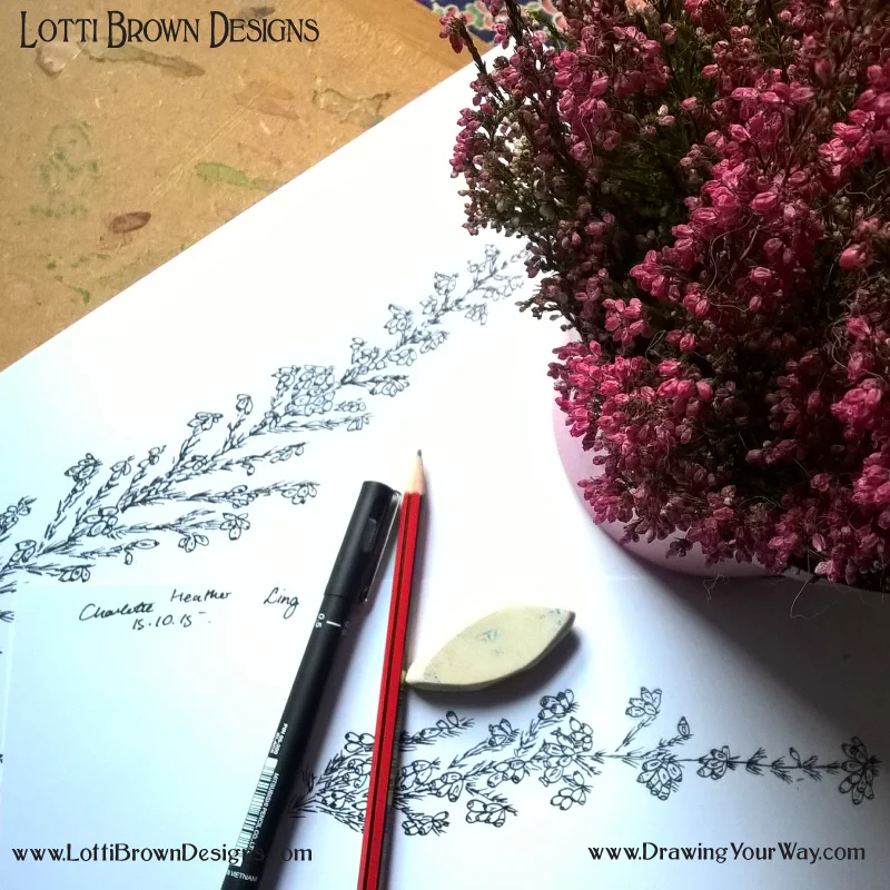Draw what you’re attracted to! Heather drawings in pen, made from life.