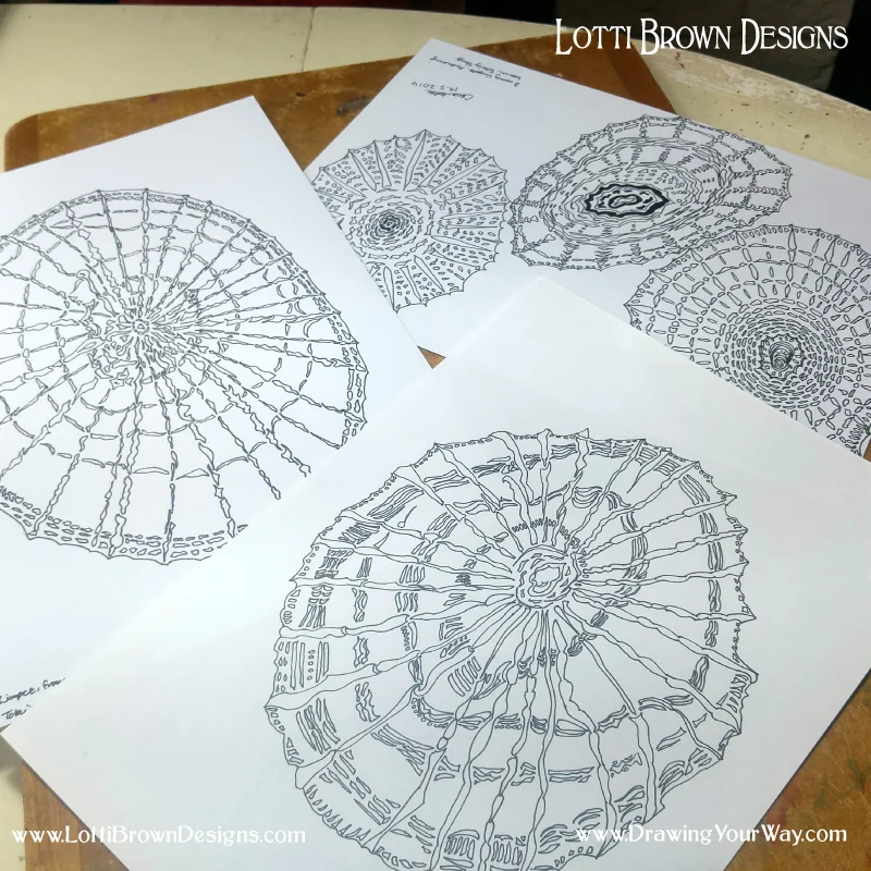 Drawings from limpet shells
