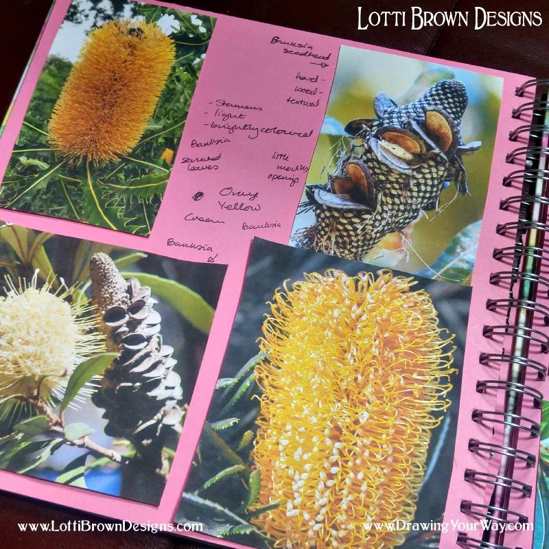 Collecting inspiration and making notes for a planned drawing theme - click to see it larger