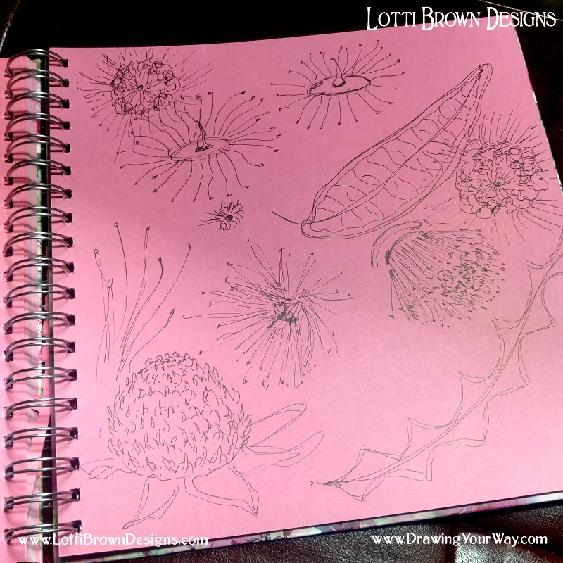 Drawing quick sketches in my sketchbook of flowers and leaves - your sketchbook can be messy and immediate