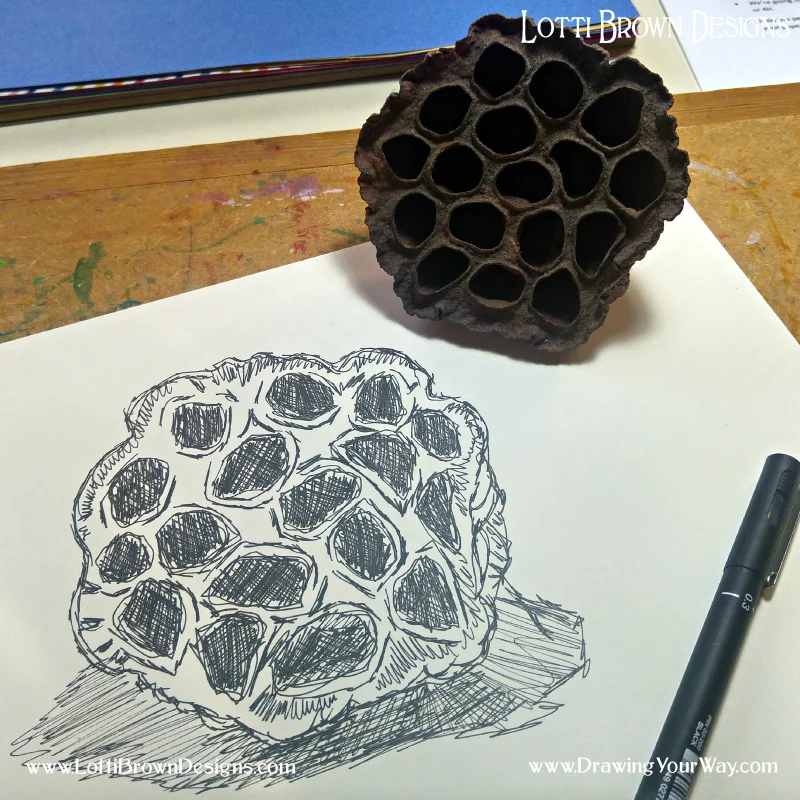 Start drawing your way with my help…