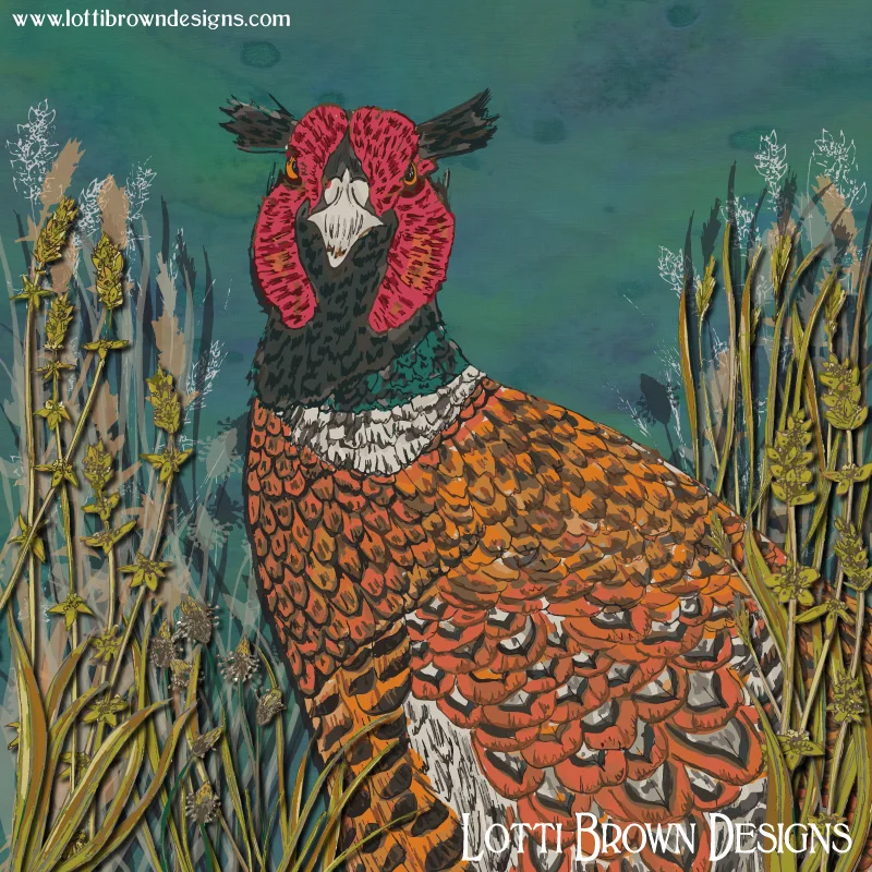 ‘Funny Pheasant’ art by Lotti Brown
