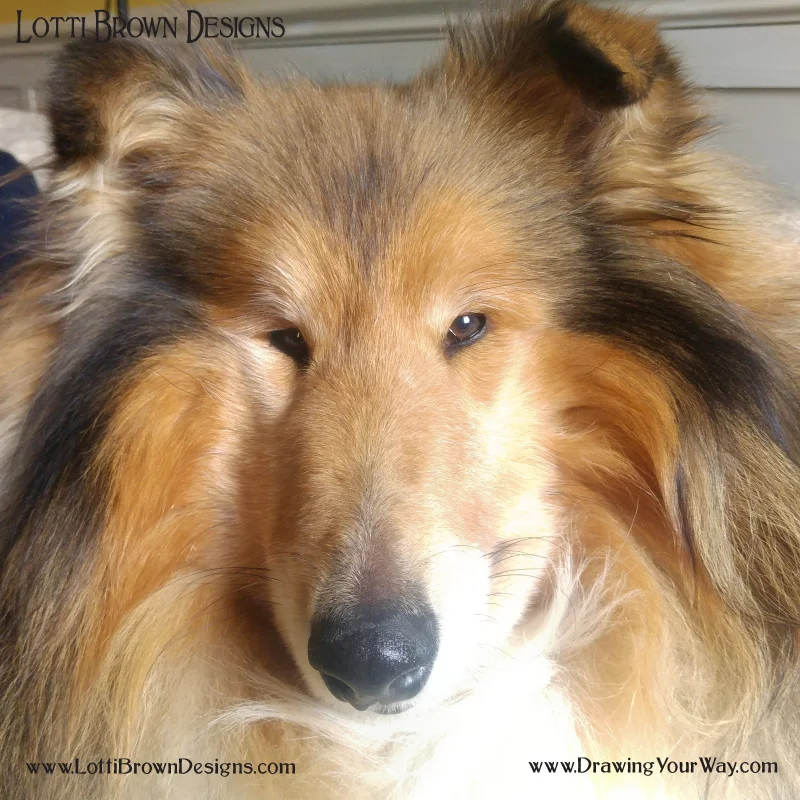 It’s an overgrown fluffy puppy - this is the ‘cuddle me (I’m Tired)’ face!