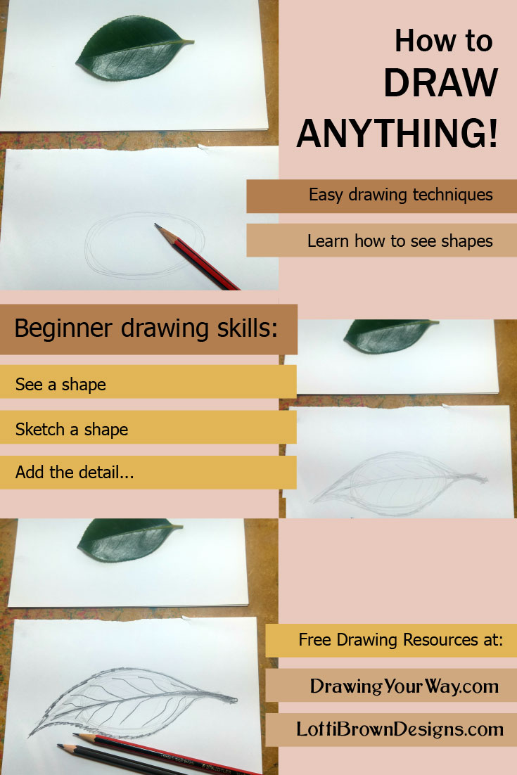Learn how to draw anything by seeing simple shapes