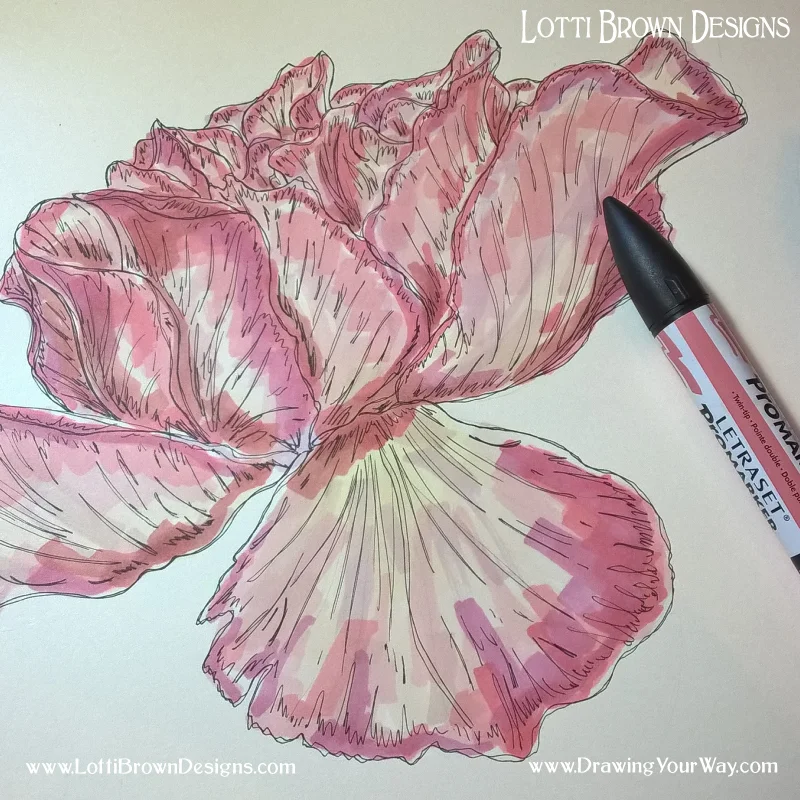 Ideas for layering up colours with Promarkers