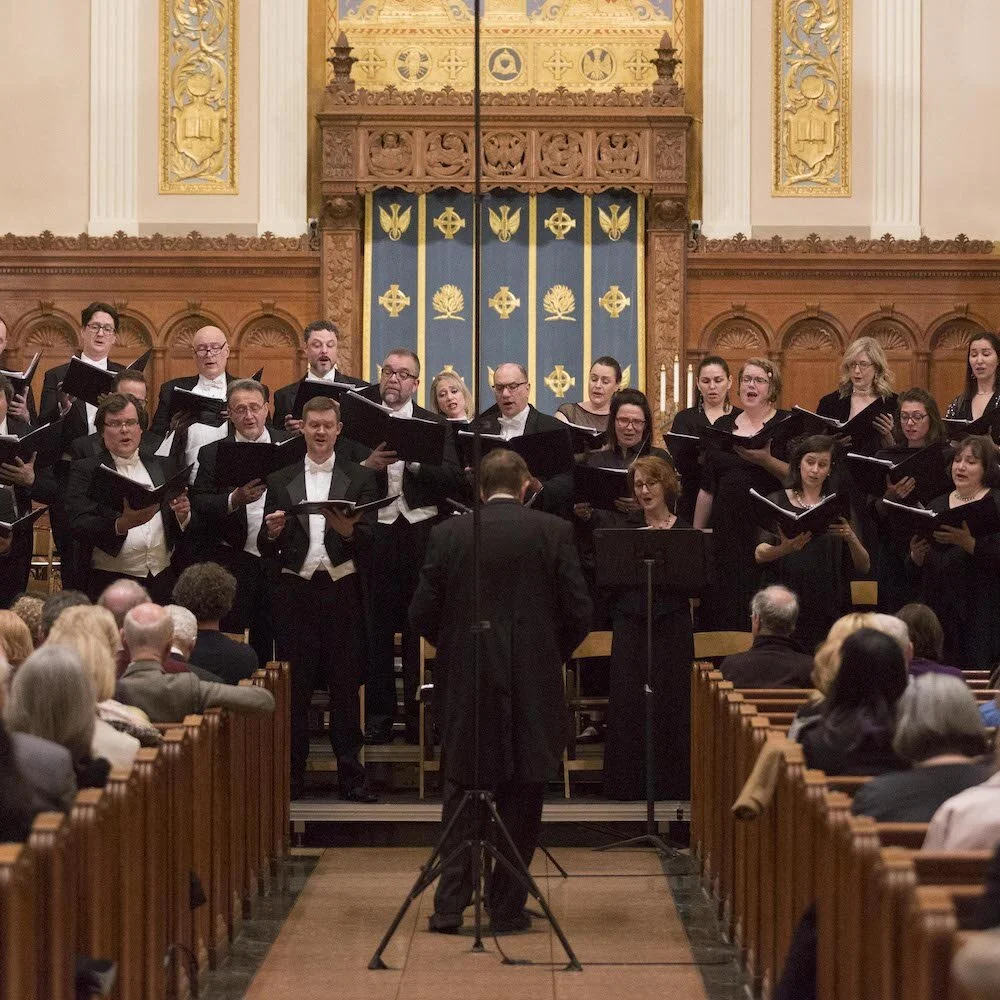 Voices of Connection: 09/15 Joyous Gibbons