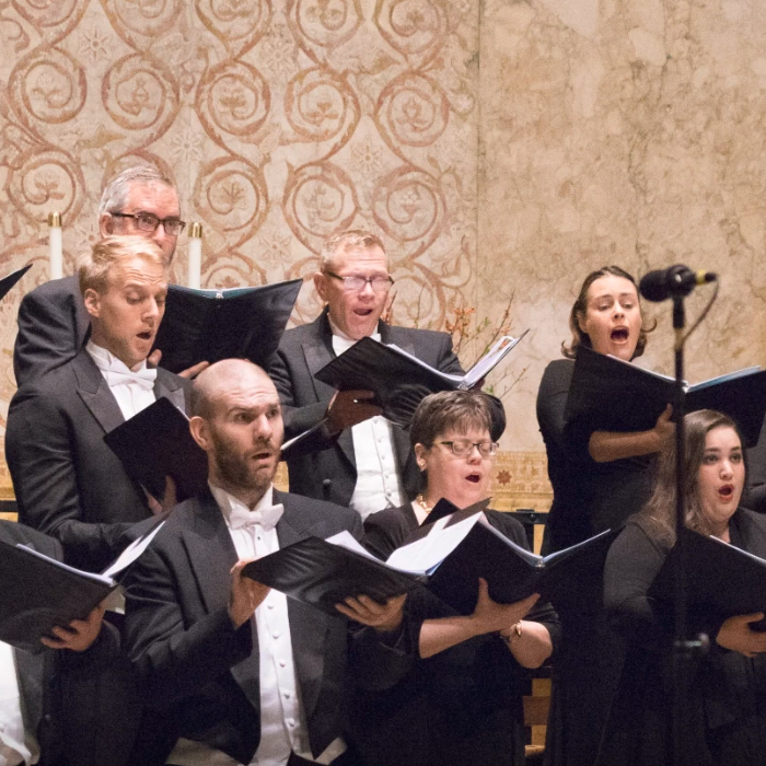 Voices of Connection: 02/14 Love, the essence of all that is divine