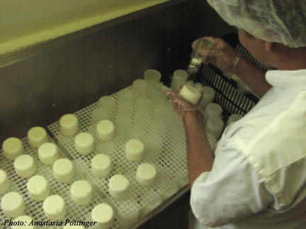 Ken salts each cheese individually.