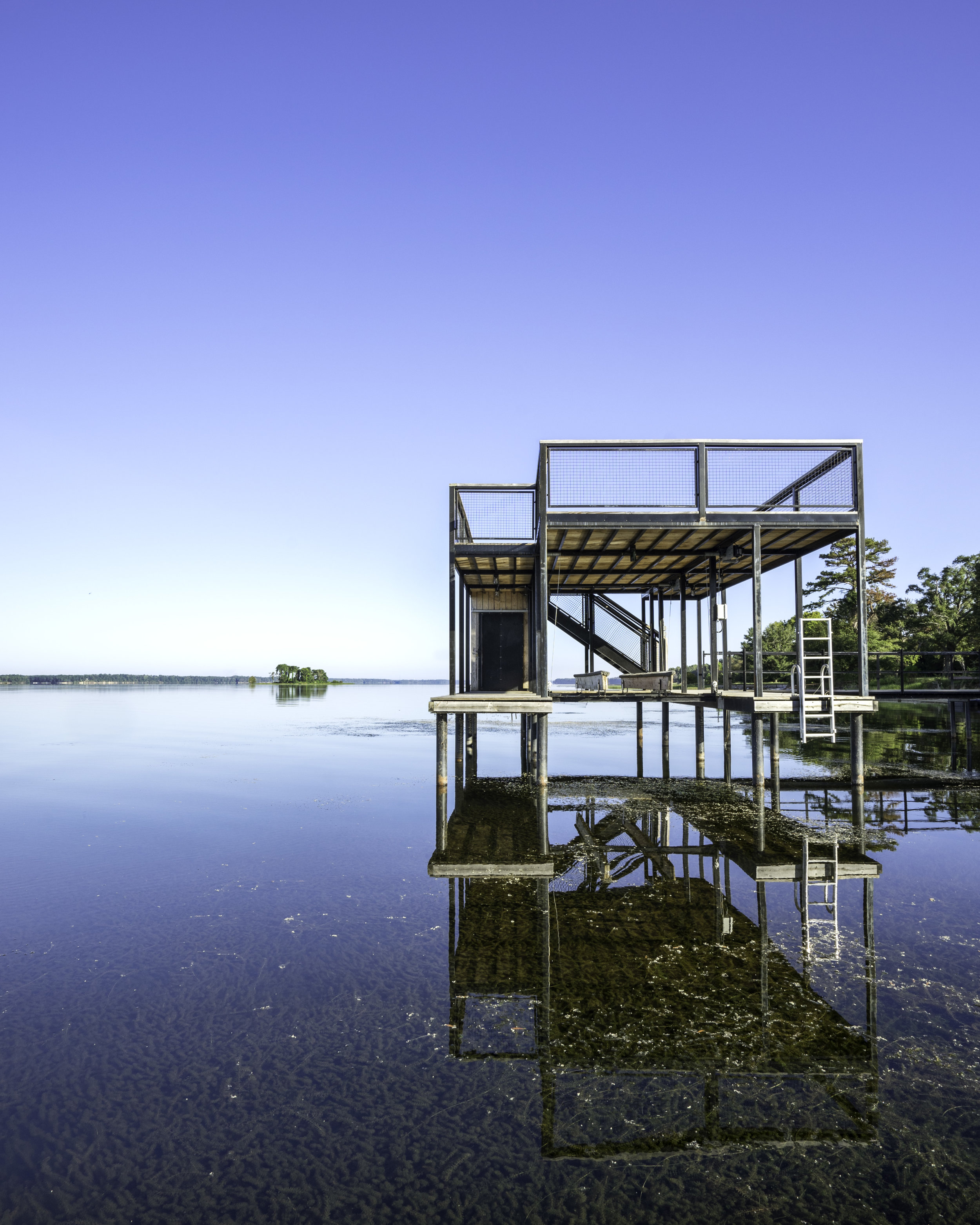 Morning Light Towards Water 2.jpg