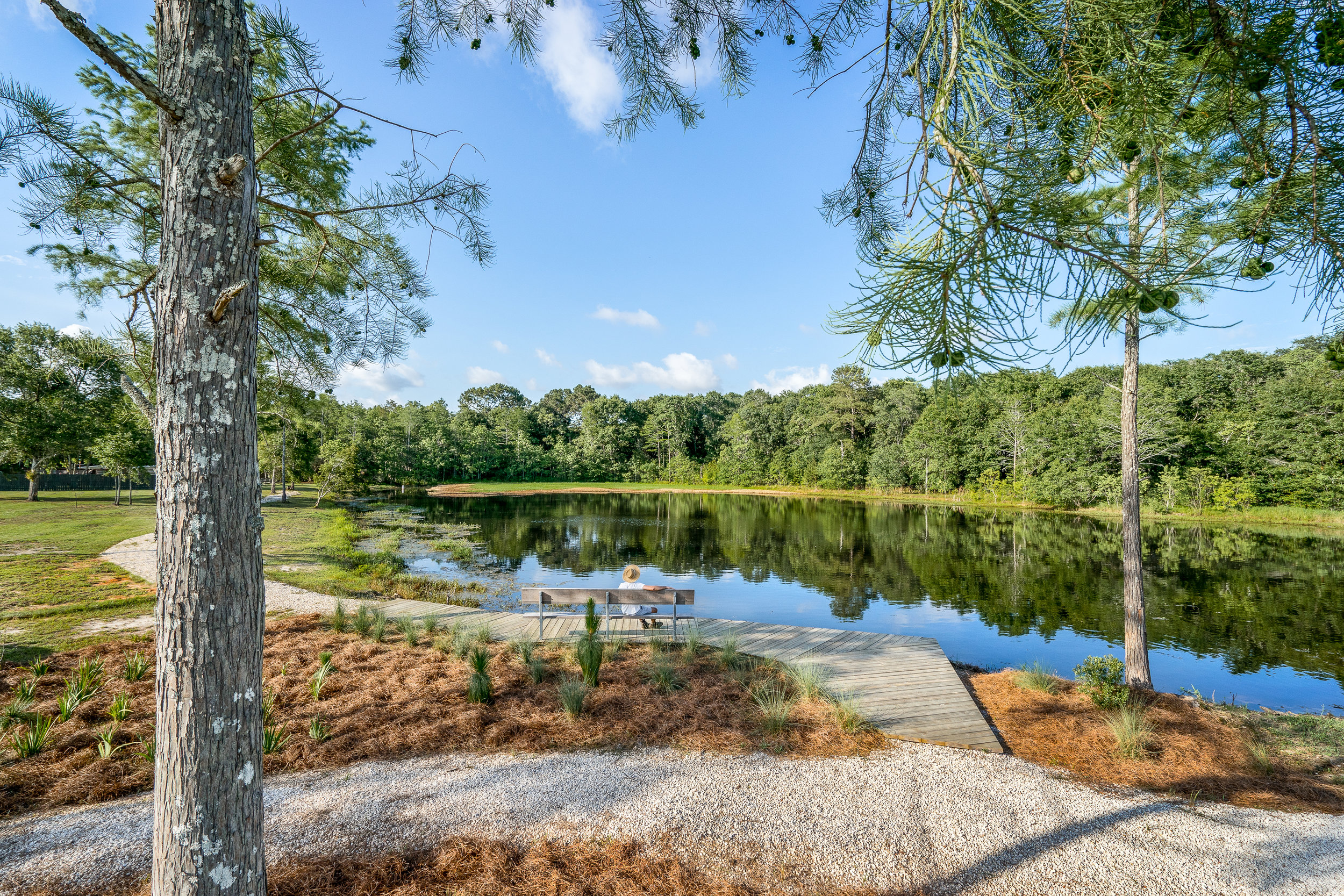 Marsh Bridges Fishing PIer- Web Res-11.jpg